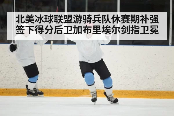 北美冰球联盟游骑兵队休赛期补强签下得分后卫加布里埃尔剑指卫冕
